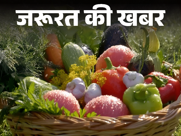 Monsoon Vegetables (Eat & Avoid) – Karela Lauki | Rainy Season | News of the need- Do not eat green vegetables in the rain: Brinjal and mushrooms can spoil health, know from the doctor how the monsoon diet