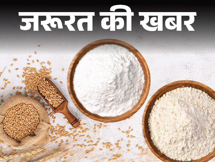 Atta Maida Difference explained; Side Effects | Nutritional Value | News of the need- what is the difference between flour and flour: both are formed with wheat, but nectar for one health and second poison, know the loss of fine flour