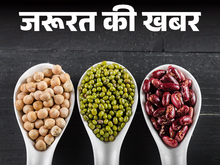 Protein rich beans health benefits; Rajma | Masoor Dal Kala Chana | News of the need- 7 Best Protein Rich Beans: Sources of Vitamins-Manels, Help in making muscles, know their nutritional value